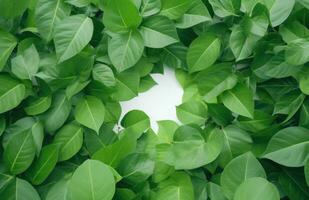 AI generated green leaf wall art photo