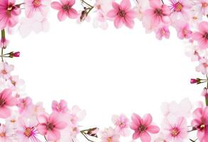 ai generado rosado flores marco foto