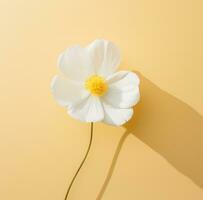 AI generated single white flower with a yellow center, photo