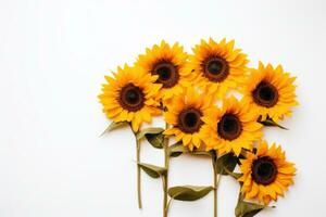 AI generated sunflowers on white background sunflowers photo