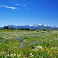 AI generated A quiet meadow filled with wildflowers, a clear blue sky, and a distant mountain range photo