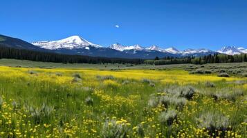 AI generated A quiet meadow filled with wildflowers, a clear blue sky, and a distant mountain range photo