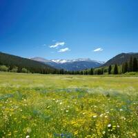 AI generated A quiet meadow filled with wildflowers, a clear blue sky, and a distant mountain range photo