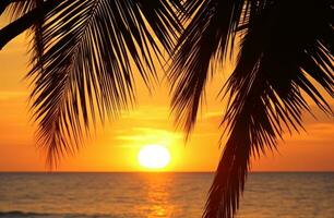 AI generated vista of tropical tropical coconut palm and sunset on beach palm photo