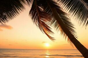 AI generated vista of tropical tropical coconut palm and sunset on beach palm photo