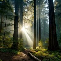 AI generated A tranquil forest with tall trees, dappled sunlight, and a misty morning fog photo