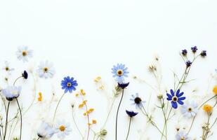 AI generated wild flowers isolated background on white photo