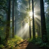 AI generated A tranquil forest with tall trees, dappled sunlight, and a misty morning fog photo