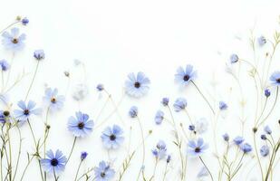 AI generated wild flowers isolated background on white photo