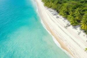 AI generated aerial view of the tropical beach and ocean. Pro Photo