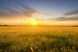 AI generated Golden hour sunset on the field. Pro Photo