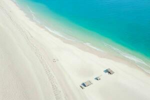 AI generated aerial view of the tropical beach and ocean. Pro Photo