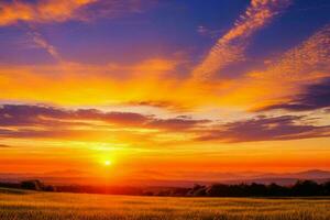 ai generado dorado hora puesta de sol en el campo. Pro foto