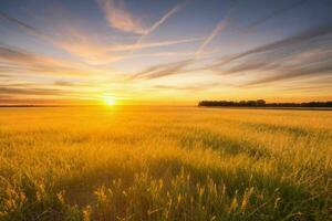 ai generado dorado hora puesta de sol en el campo. Pro foto