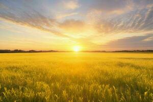 ai generado dorado hora puesta de sol en el campo. Pro foto