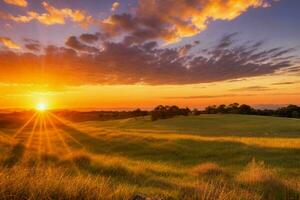 AI generated Golden hour sunset on the field. Pro Photo