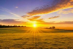 ai generado dorado hora puesta de sol en el campo. Pro foto