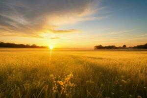 ai generado dorado hora puesta de sol en el campo. Pro foto