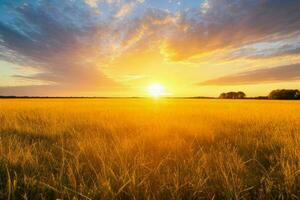 ai generado dorado hora puesta de sol en el campo. Pro foto