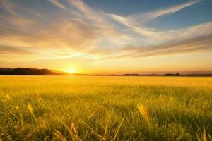 ai generado dorado hora puesta de sol en el campo. Pro foto