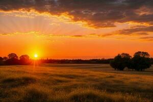 ai generado dorado hora puesta de sol en el campo. Pro foto