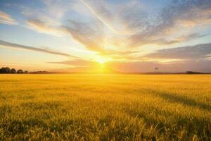 ai generado dorado hora puesta de sol en el campo. Pro foto