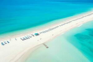 AI generated aerial view of the tropical beach and ocean. Pro Photo