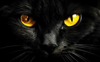 AI Generated The muzzle of a black cat with yellow eyes. The face of a cat. photo