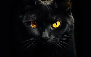 AI Generated The muzzle of a black cat with yellow eyes. The face of a cat. photo