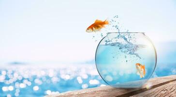 Goldfish leaps out of the aquarium to throw itself into the sea photo