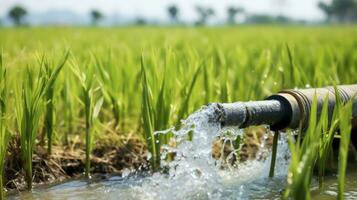 ai generado el impresionante descarga de agua desde un sustancial bomba tubo dentro un arroz granja foto