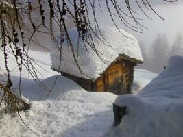 un pequeño de madera choza cubierto en nieve foto