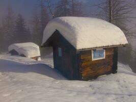 a small wooden hut photo