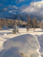 nieve cubierto arboles y montañas en el antecedentes foto