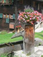 a wooden water pump photo