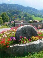 a large stone with flowers photo