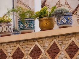 a group of pots with plants on a wall photo