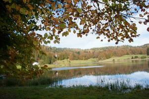 a bench sitting next to a lake photo