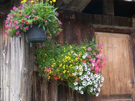 a wooden wall photo