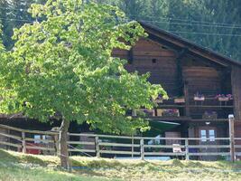 a large tree in front of a barn photo