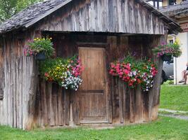 a small shed with flowers in the windows photo