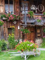 a wooden house with flowers photo