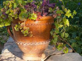 a large brown vase with purple flowers photo