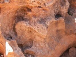 a close up of a rock formation with a face photo