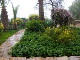 a stone pathway photo