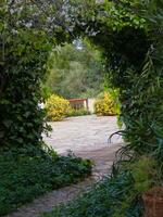 a pathway leading to a garden photo