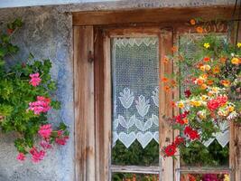 a window with a flower basket photo