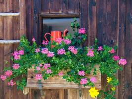 a wooden window with flowers and a watering can photo