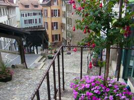 a flower pot with flowers photo