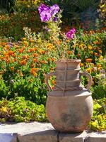 a flower pot on a stone wall photo